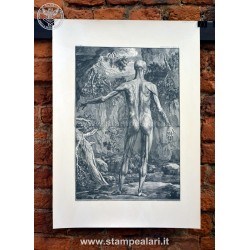 [:it]LANATC11 - Muscoli[:en]LANATC11 - muscles[:]