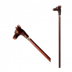 Walking stick - dog