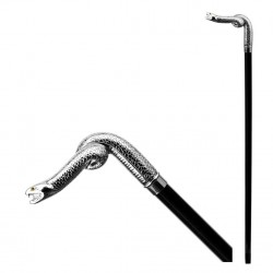 Walking stick - aspic viper BB_225